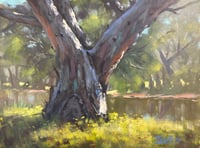 Image 1 of Gum At Putta Bucca