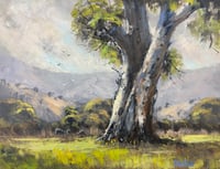 Image 1 of Rainy Day, Putta Bucca