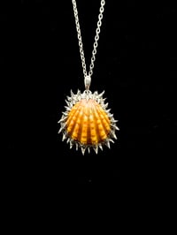 Spiked Orange Sunrise Shell Pendant 