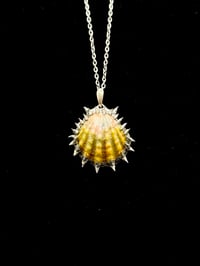 Spiked Yellow Sunrise Shell Pendant 