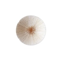Dinning Plate