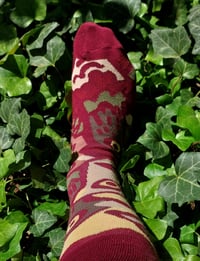 Image 7 of Socks: pigeons