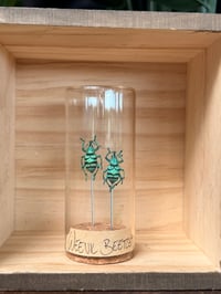 WEEVIL BEETLE VIAL 