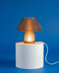 Image 2 of Mushkin lamp