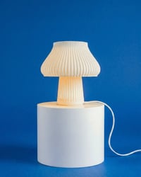 Image 3 of Mushkin lamp