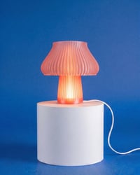 Image 4 of Mushkin lamp