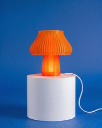 Image 5 of Mushkin lamp
