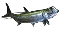 Image 18 of NEW! Fish Stickers