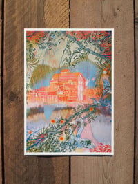 Image 1 of Swans by The Watermill A4 Risograph Print