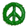 GREEN PEACE - Peter Gramberg