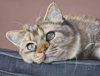 Image 1 of Orange Tabby - Original Pastel Pencil Cat Portrait