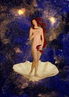 VENUS - MISS UNIVERSE - Peter Gramberg