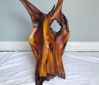 Image 1 of Razorback Rising
