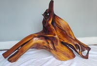 Image 2 of Razorback Rising