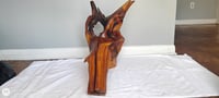 Image 3 of Razorback Rising