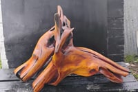 Image 4 of Razorback Rising