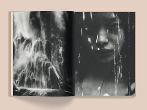 Image of LA SELVA 