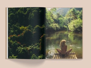Image of LA SELVA 