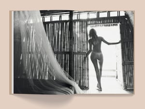 Image of LA SELVA 