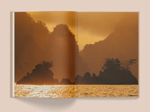 Image of LA SELVA 