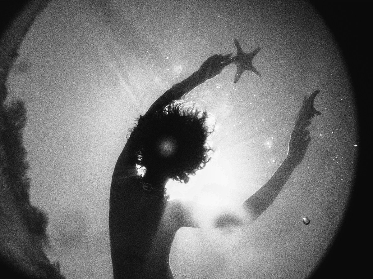Image of STARFISH