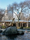 "Central Park Zoo" March-2008
