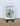LOWERCOUNTRY