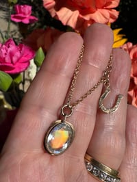 Image 5 of The Rainbow Heart Line