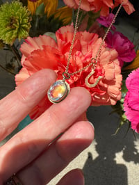 Image 7 of The Rainbow Heart Line