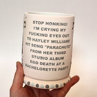 Image 5 of hayley williams ~ parachute