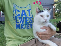 Image 5 of FUN SHIRTS =SAVE LIVES vol 2