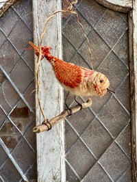 Image 1 of Sparrow on a Swing