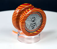 Image 2 of Yo-Bee-Yo, #2026-083