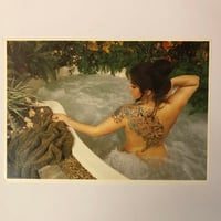 Image 1 of 1987 Dawn Stevens postcard 