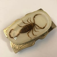 Image 1 of 70’s Scorpion belt buckle 