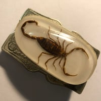 Image 3 of 70’s Scorpion belt buckle 