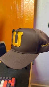 Unusual Peoples Brown Snapback (LAST ONE)