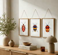 Image 1 of Set of 3 Entomology Shield Bug Prints, Digital Download