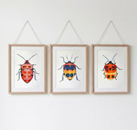 Image 2 of Set of 3 Entomology Shield Bug Prints, Digital Download