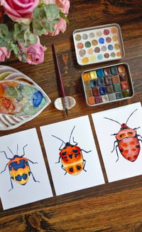 Image 5 of Set of 3 Entomology Shield Bug Prints, Digital Download