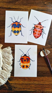 Image 4 of Set of 3 Entomology Shield Bug Prints, Digital Download