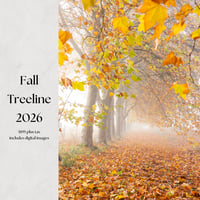 2026 Fall Treeline Mini Sessions $195 plus tax ($95 to book, remainder due 2 weeks before session)