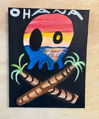 SUNSET PIRATE SKULLCONUT 3