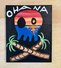 SUNSET PIRATE SKULLCONUT 5