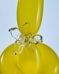 Image 1 of BUTTERFLOWER