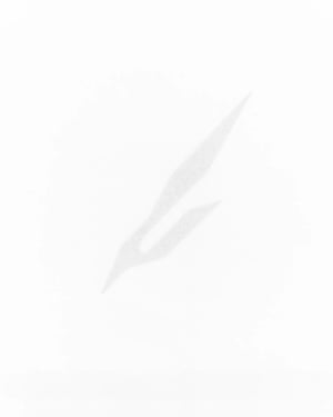 Image of PROTOTYP - SONIC Logo Shirt (White)