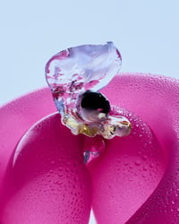 Image 1 of PERLA NOIR