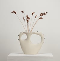Image 5 of suki 