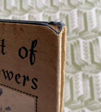 Image 4 of A Bouquet of Wild Flowers