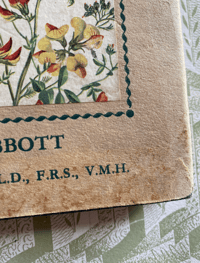 Image 2 of A Bouquet of Wild Flowers